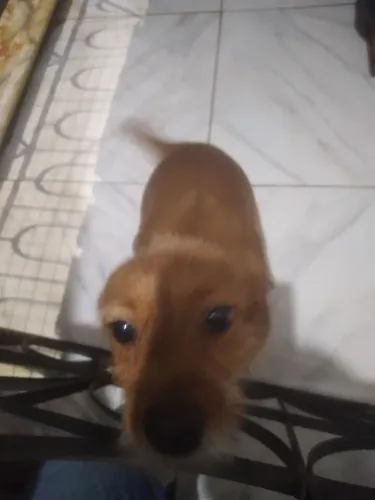 Doação