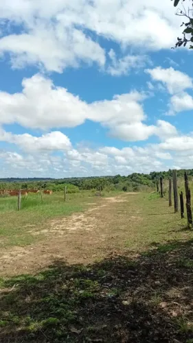 OPORTUNIDADE DE VENDA DE TERRAS