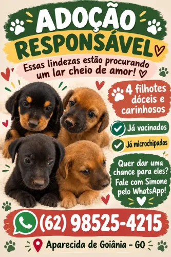 Doação de cachorrinhos