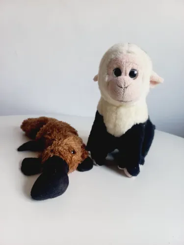 Lote Pelúcia Macaco e Ornitorrinco