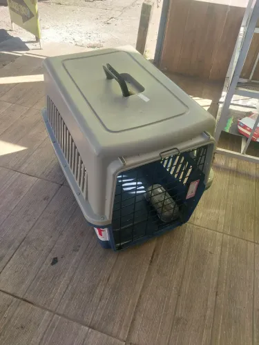 Transportadora de cachorro.