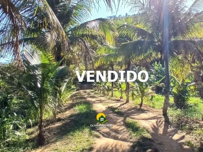 Sítio para Venda em Tanguá, Lagoa Verde, 1 dormitório, 1 banheiro, 1 vaga