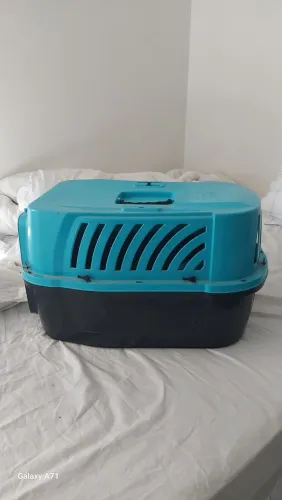 Casinha Para Pets