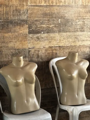 Busto Femenino