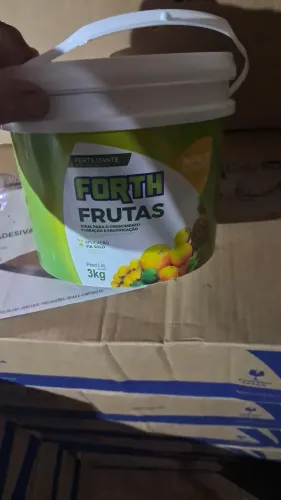 Forth fruta