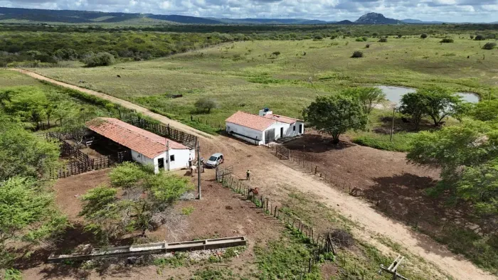 fazenda com 253 hectares bem estruturada em Riachuelo