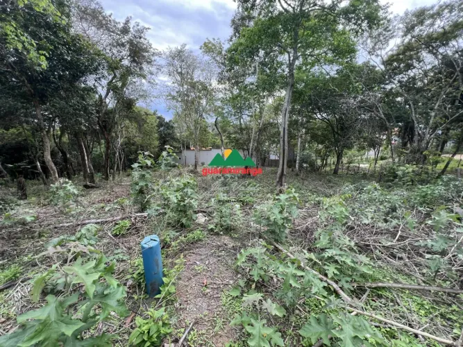 TERRENO PLANO COM POÇO PROFUNDO