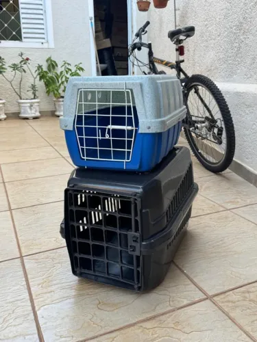 2 Caixas De Transporte Pet Animal Grande Oferta