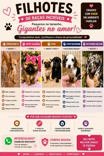 Lindos filhotes