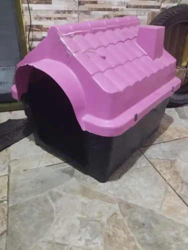 Casinha de. Cachorro