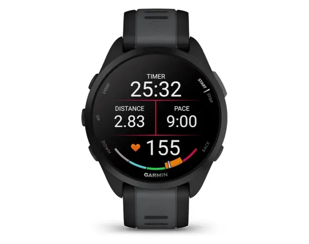 Garmin 165 Music