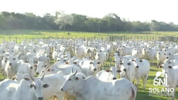 Espetacular Fazenda Bodoquena a Venda com 45.000 / 49.000 hectares na Região Oeste de MS.