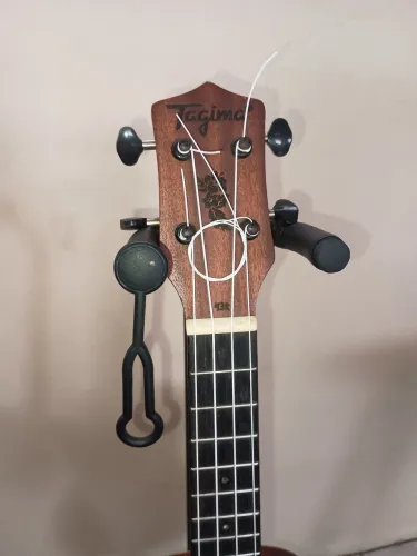 Ukulele concert Tagima