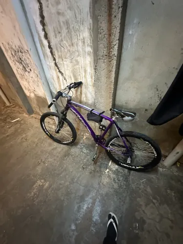 raio roxo 26 