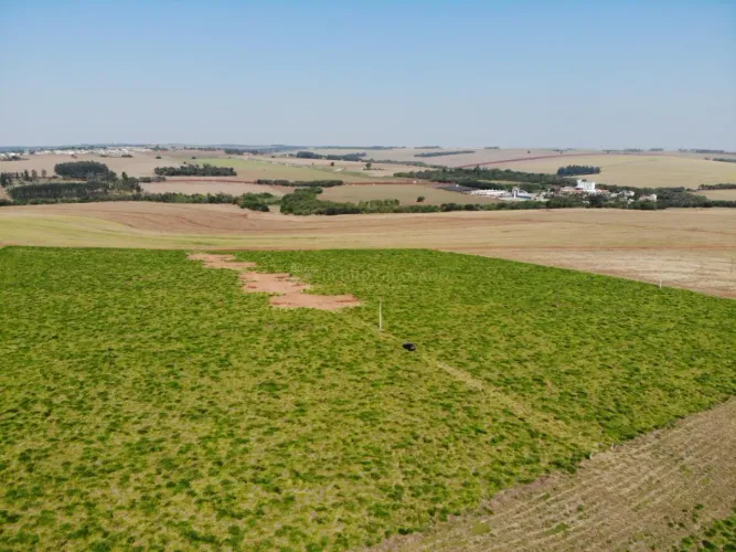 LOTE RURAL A VENDA 20.000M