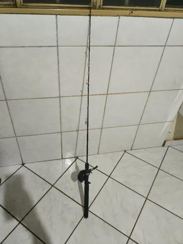 Vara + carretilha 