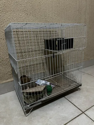 Vendo gaiola de arame