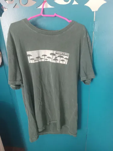 Camiseta verde de algodão marca porto blue com estampa das araucárias de Visconde Mauá