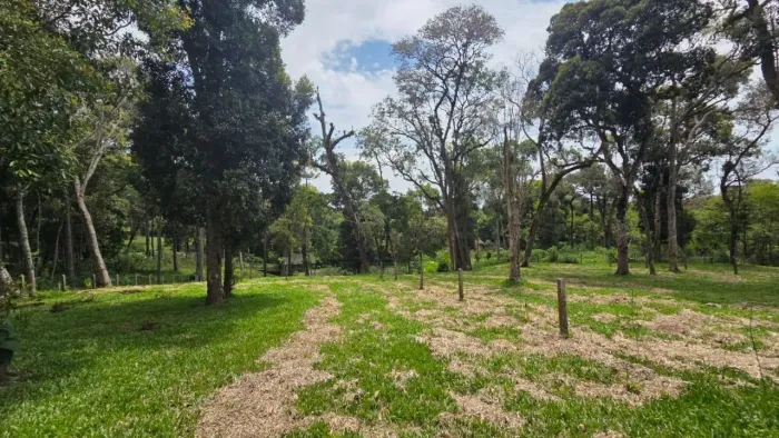 Terreno de 3.215 m² à Venda em Campo Alegre Próximo ao Centro