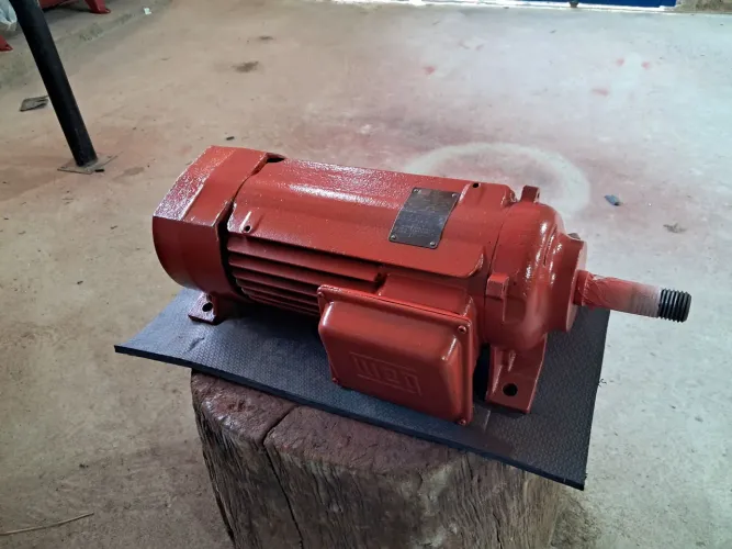 Vendo Motor WEG