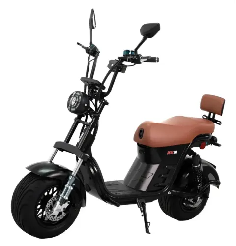 SCOOTER ELÉTRICA DUOS FX2