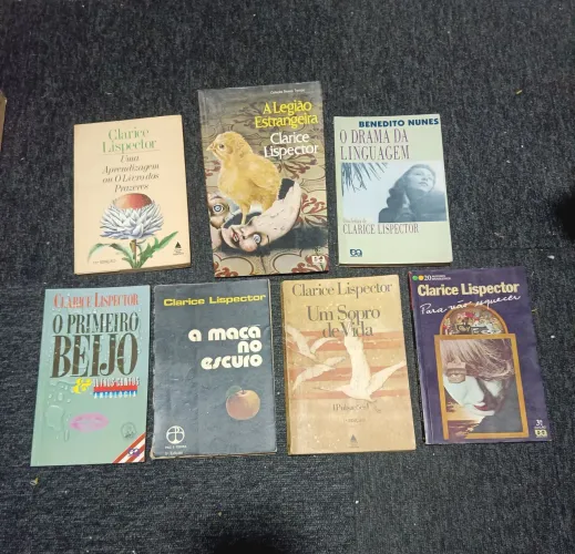Coleção livros Clarice Lispector