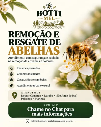 Remoção e Resgate de Abelhas | Paiçandu e Região