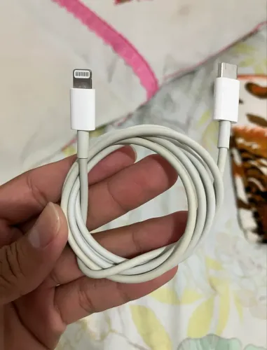 Cabo Original Apple Tipo C 