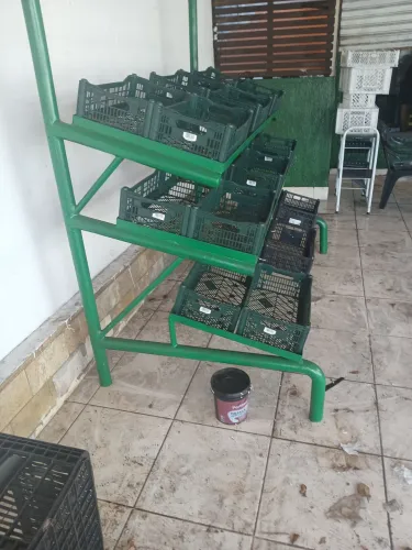 Expositor de frutas em tudo com 18 caixas de plástico novas ,para expor a fruta