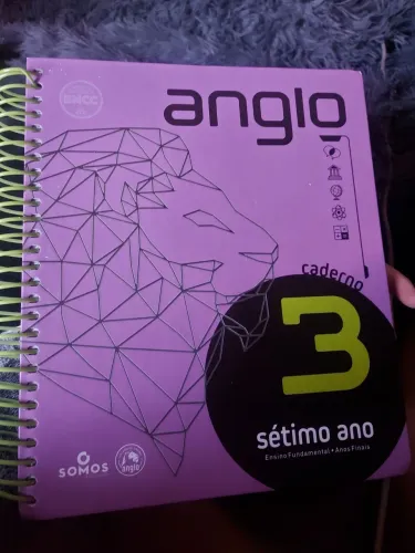 Apostila Anglo 7º Ano - Caderno 3