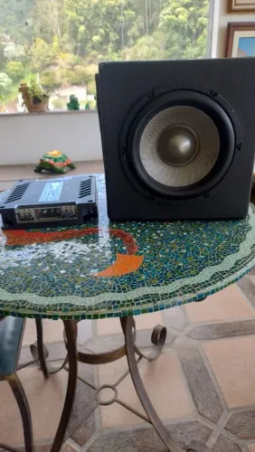 Caixa com alto-falante Bravox de 10?