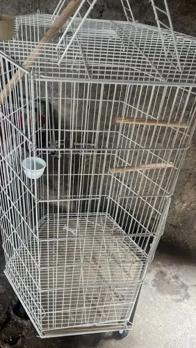 viveiro para aves - Aceito troca