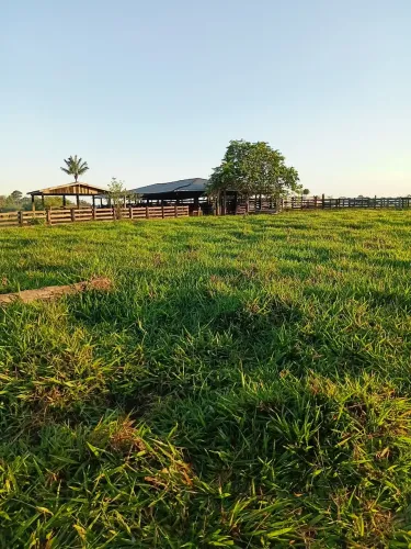 110 alqueiros beira rio próximo porto velho!