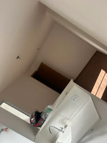 Apartamento aluguel 