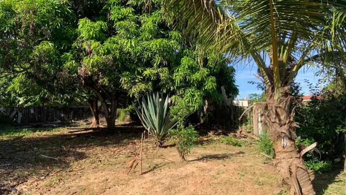 Sítio Bom Jardim - MA