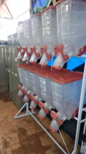 Dosador dispenser pra rações e graos Durapets  10 módulos grandes semi novos