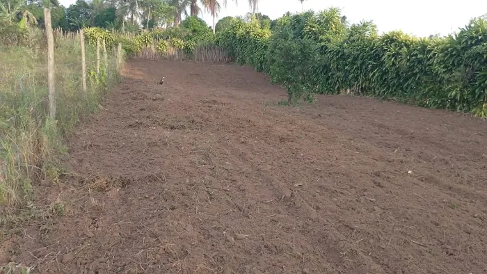 Vendo terreno 11x70 no pov Tombo Salgado