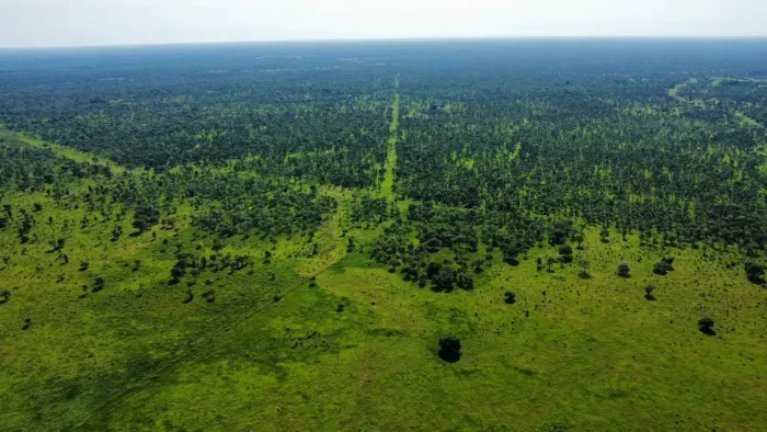 CÓD. 491  VENDA  REGIÃO ENTRE RIO NEGRO E RIO AQUIDAUANA