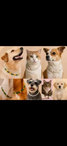 Colar pet
