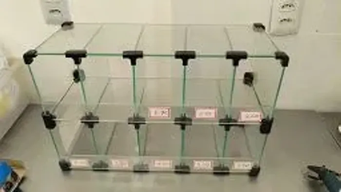 Baleiro vitrine Expositor Em Vidro 0,50 X 0,20 X 0,15+0,15