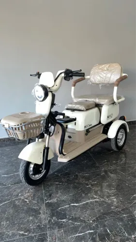 TRICICLO CARE 1000W