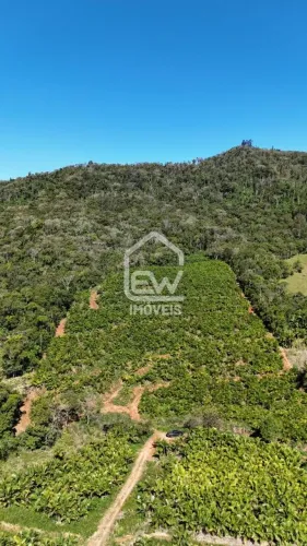 Terreno Rural com Área Total de 78.507m² em Massaranduba, SC