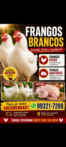 Temos frango vivo e abatidos