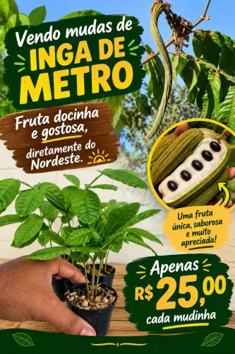 Muda de inga de metro