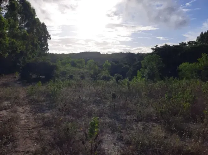 LINDA CHÁCARA 9.000M² EM PRADO, LITORAL SUL DA BAHIA