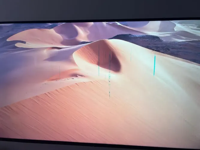 TV Panasonic 4K TC-55HX550B - Defeito na Tela