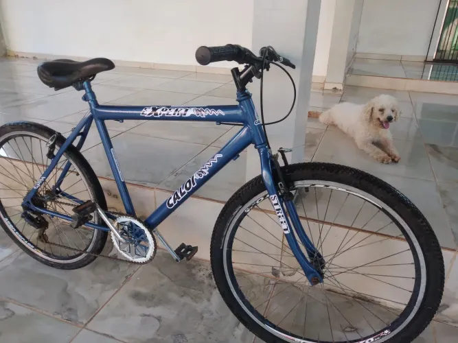 Bicicleta aro 26