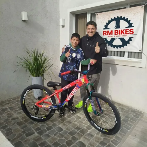 Bicicleta viking