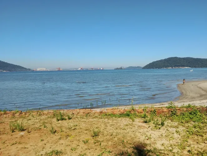 Coroa Grande Pé na Areia Terreno Frente Mar Vista Linda