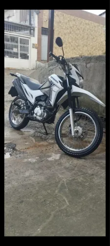 Honda broa 2022